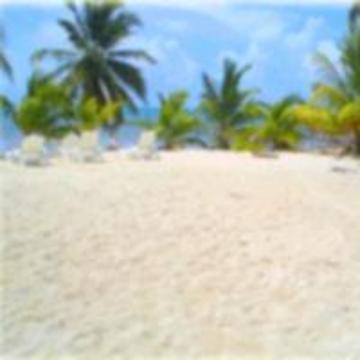 Anchorage Resort Cayo Caulker Exterior foto